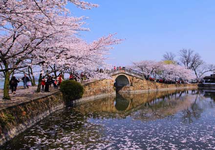 長(cháng)春逐夢(mèng) 夏令營(yíng)