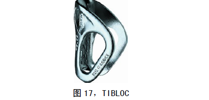 圖17，TIBLOC